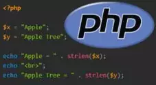 How to use the PHP strlen Function