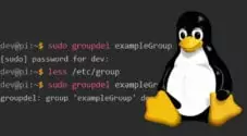 How to use the groupdel Command