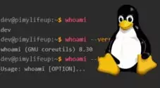 Linux whoami Command