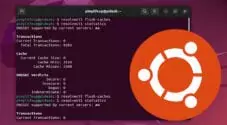 Ubuntu Flush DNS Cache