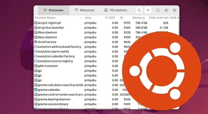 How to use the Task Manager on Ubuntu